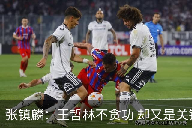 张镇麟：王哲林不贪功 却又是关键时刻能站出来的人 队长当之无愧